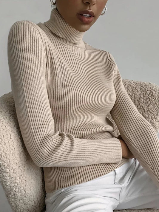 Knit Turtleneck Pullover